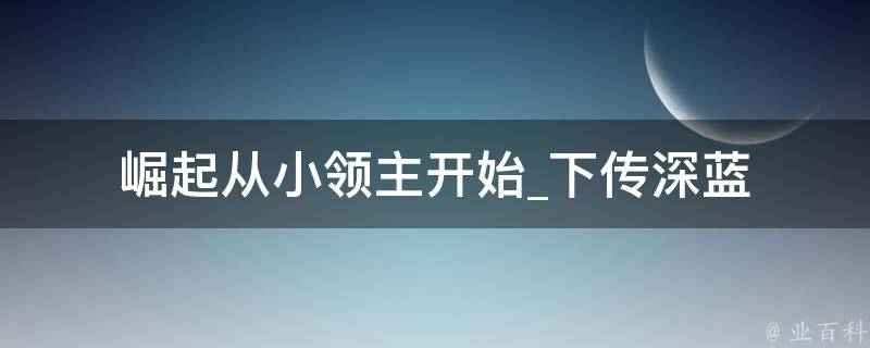 崛起从小领主开始