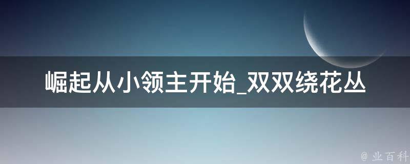 崛起从小领主开始