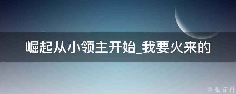 崛起从小领主开始