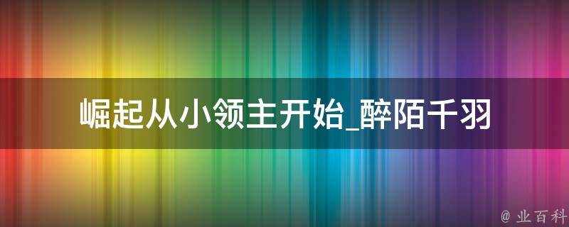 崛起从小领主开始