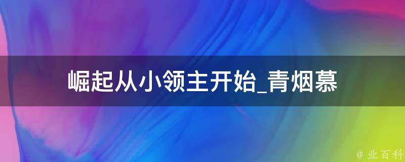 崛起从小领主开始