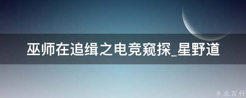 巫师在追缉之电竞窥探