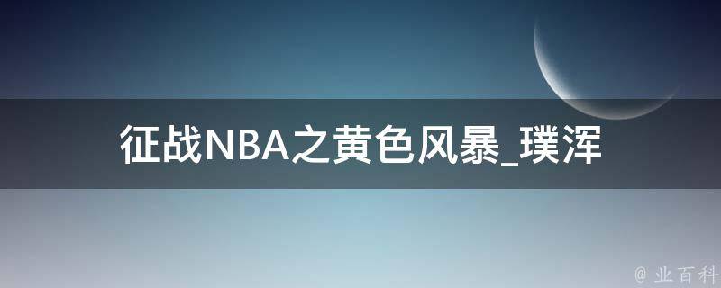 征战NBA之黄色风暴