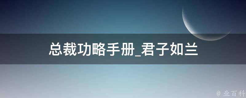 总裁功略手册