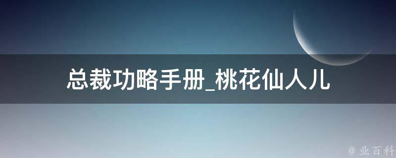 总裁功略手册