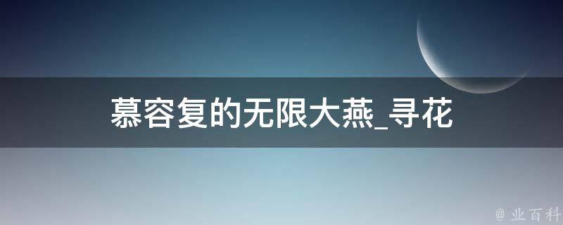 慕容复的无限大燕