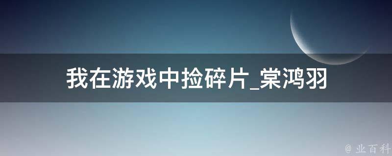 我在游戏中捡碎片