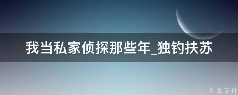 我当私家侦探那些年