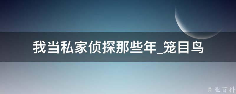 我当私家侦探那些年