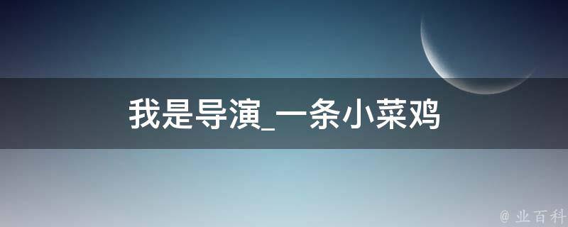 我是导演