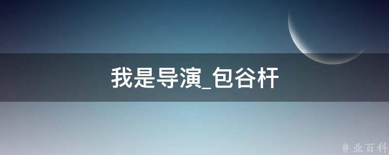 我是导演