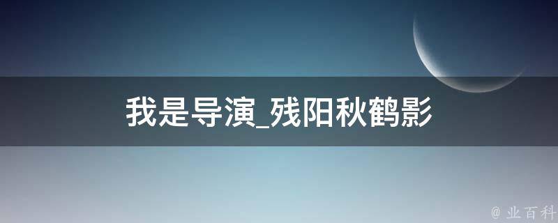 我是导演