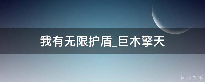 我有无限护盾