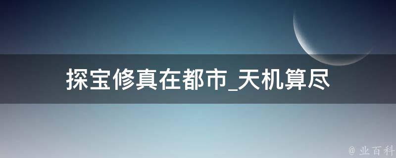 探宝修真在都市