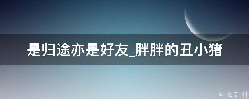 是归途亦是好友