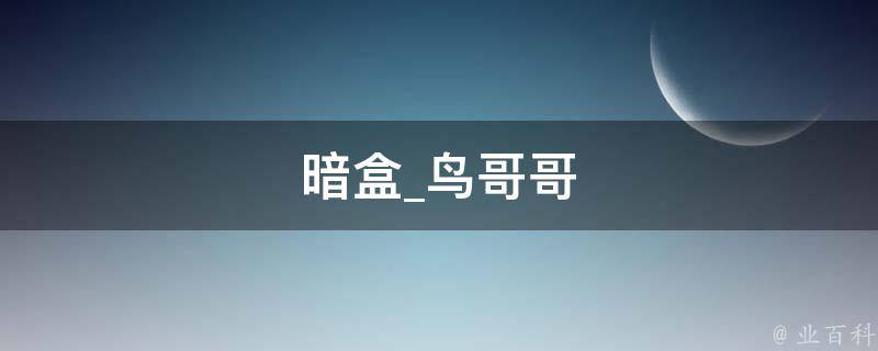 暗盒