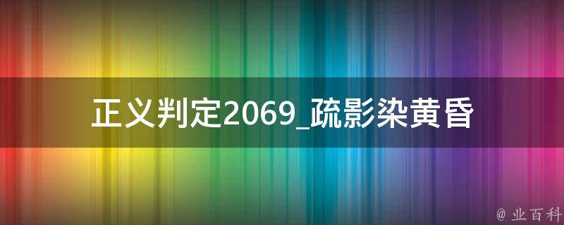 正义判定2069