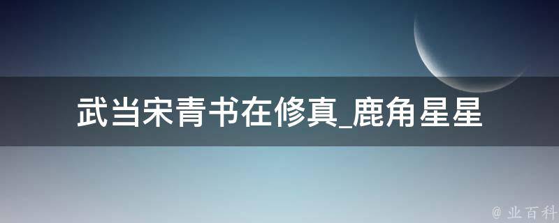 武当宋青书在修真