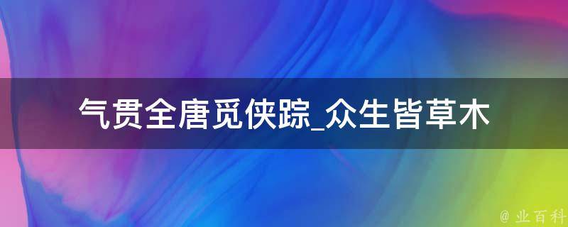 气贯全唐觅侠踪