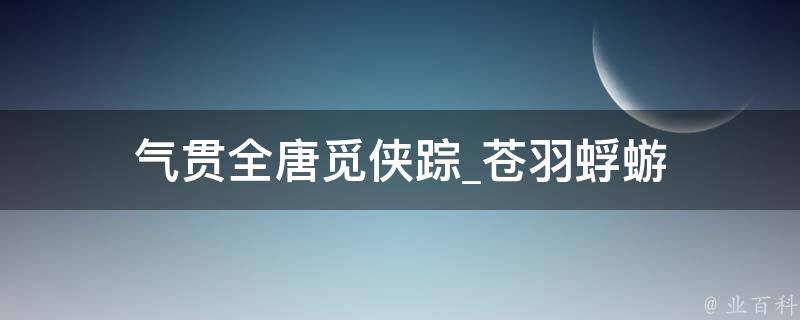 气贯全唐觅侠踪