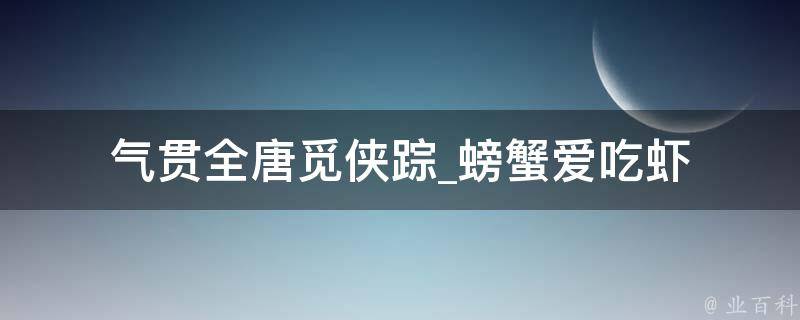 气贯全唐觅侠踪