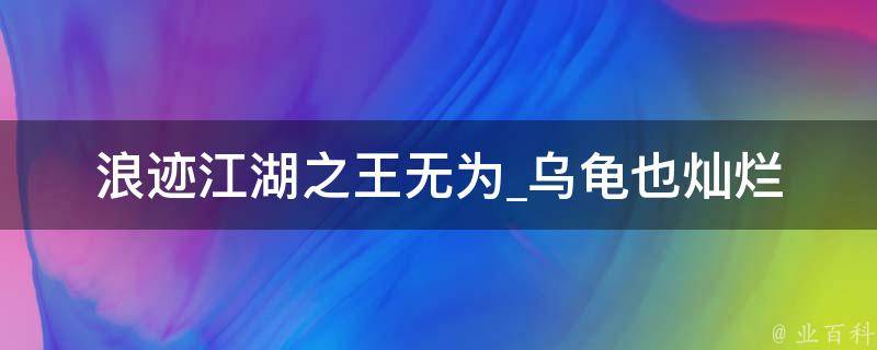 浪迹江湖之王无为