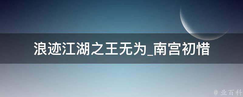 浪迹江湖之王无为