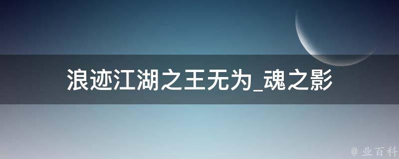 浪迹江湖之王无为