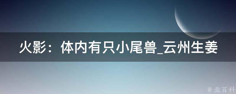 火影：体内有只小尾兽