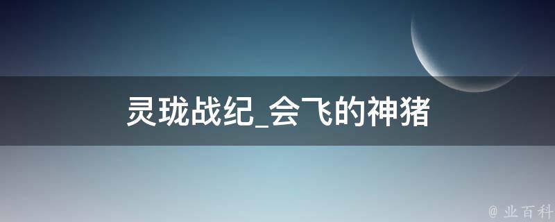 灵珑战纪