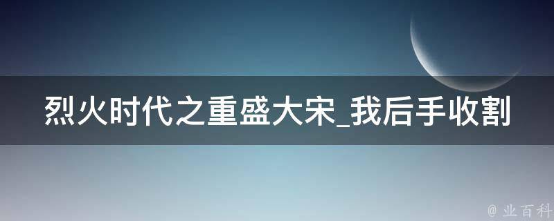 烈火时代之重盛大宋