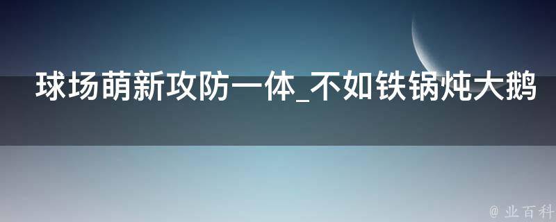 球场萌新攻防一体