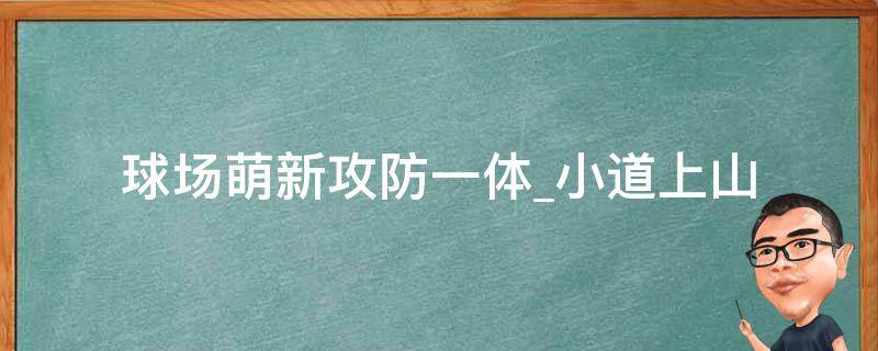 球场萌新攻防一体