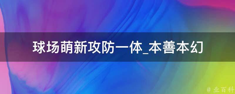 球场萌新攻防一体