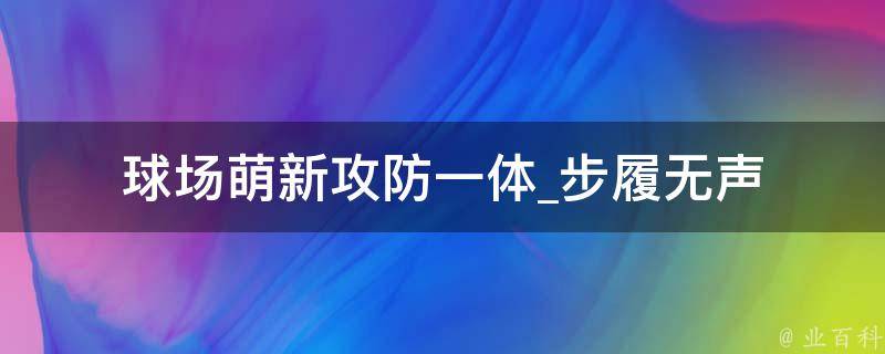 球场萌新攻防一体