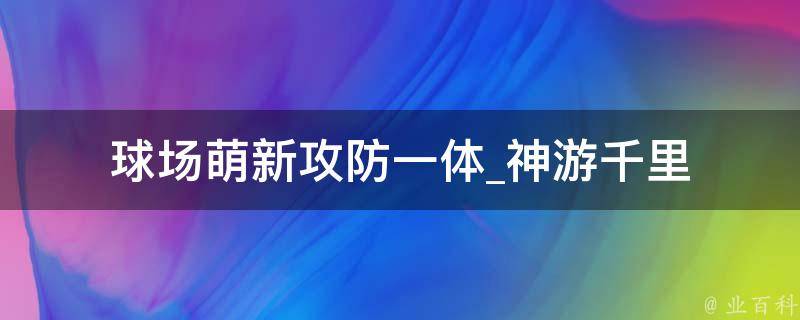 球场萌新攻防一体