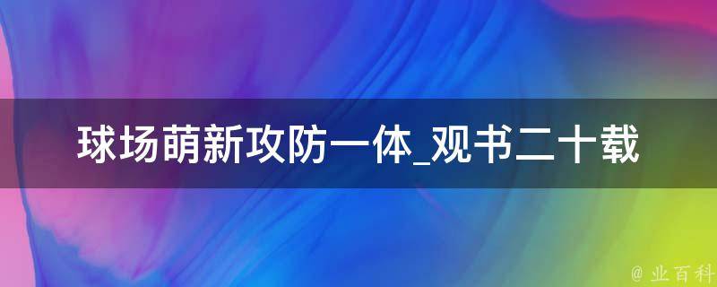 球场萌新攻防一体