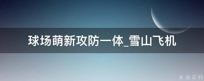 球场萌新攻防一体