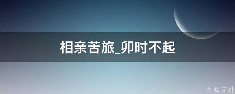 相亲苦旅