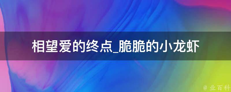 相望爱的终点