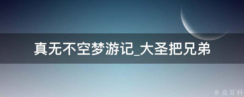 真无不空梦游记