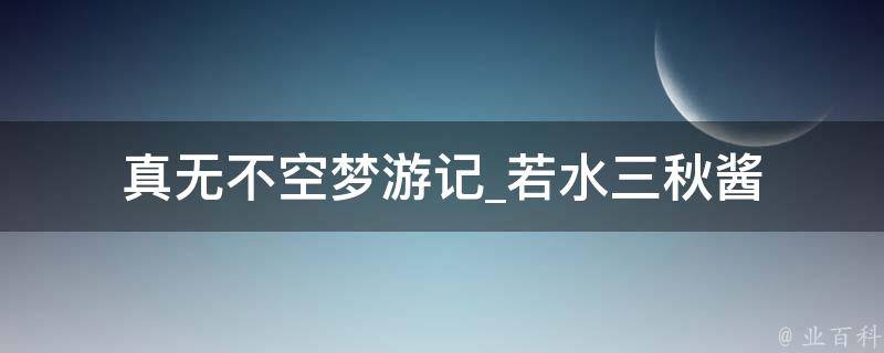 真无不空梦游记