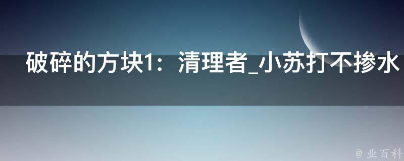 破碎的方块1：清理者