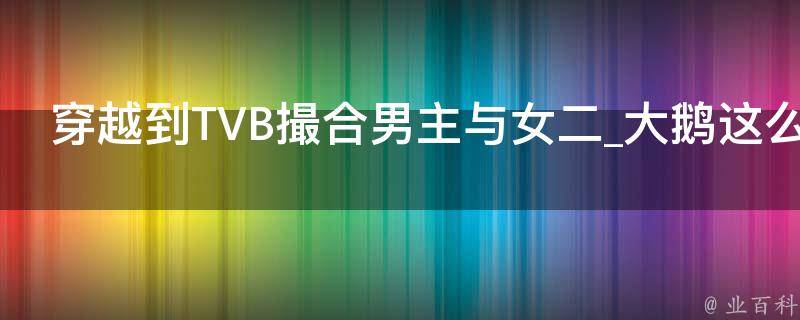 穿越到TVB撮合男主与女二