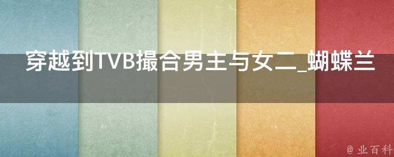 穿越到TVB撮合男主与女二