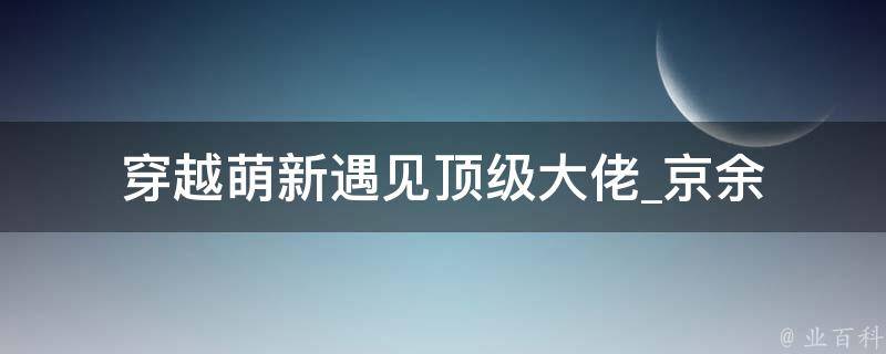 穿越萌新遇见顶级大佬