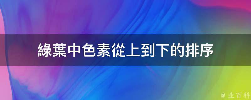 綠葉中色素從上到下的排序