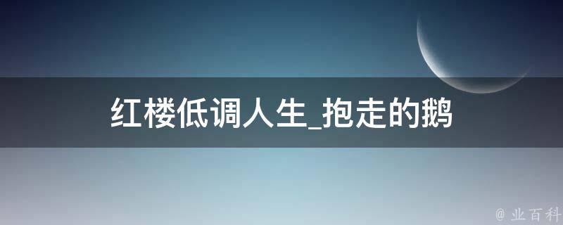 红楼低调人生