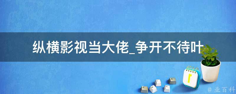 纵横影视当大佬