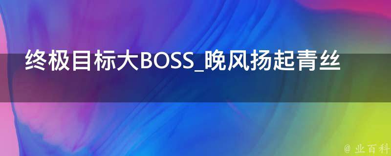 终极目标大BOSS